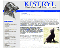 Tablet Screenshot of kistryl.com